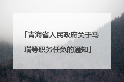 青海省人民政府关于马瑞等职务任免的通知