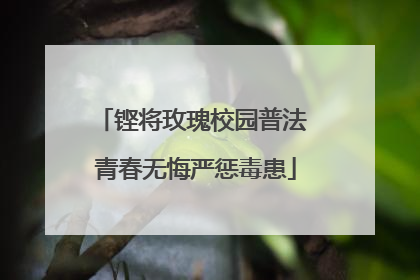铿将玫瑰校园普法 青春无悔严惩毒患