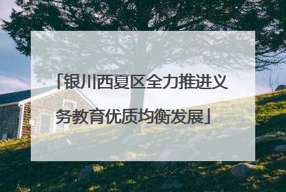 银川西夏区全力推进义务教育优质均衡发展