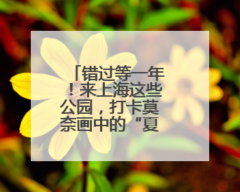错过等一年！来上海这些公园，打卡莫奈画中的“夏日神颜”→
