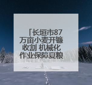 长垣市87万亩小麦开镰收割 机械化作业保障夏粮归仓