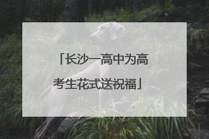 长沙一高中为高考生花式送祝福