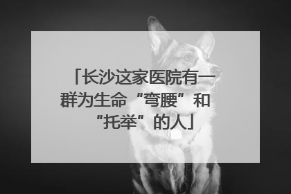 长沙这家医院有一群为生命“弯腰”和“托举”的人