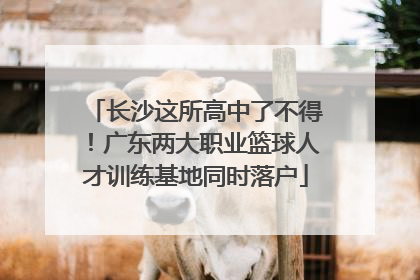 长沙这所高中了不得！广东两大职业篮球人才训练基地同时落户