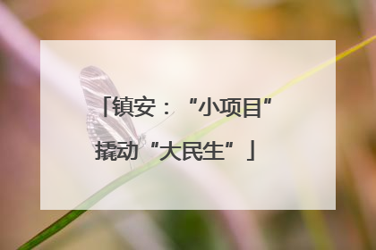 镇安：“小项目”撬动“大民生”
