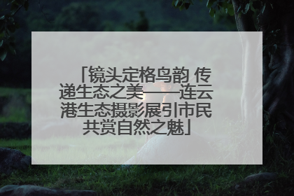 镜头定格鸟韵 传递生态之美——连云港生态摄影展引市民共赏自然之魅