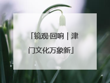 镜观·回响｜津门文化万象新