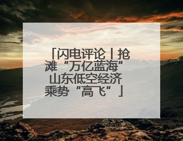 闪电评论丨抢滩“万亿蓝海” 山东低空经济乘势“高飞”