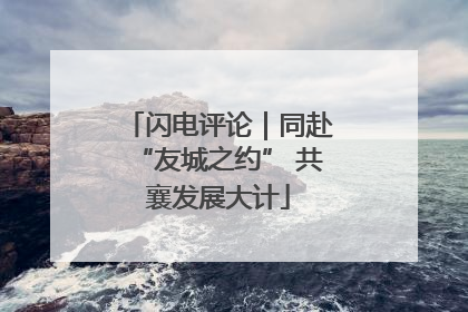 闪电评论｜同赴“友城之约” 共襄发展大计