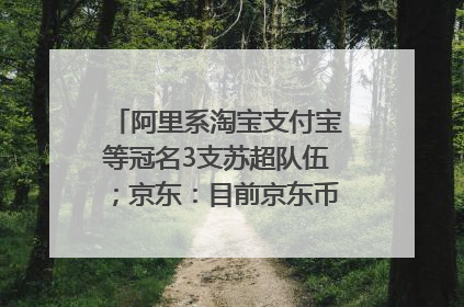 阿里系淘宝支付宝等冠名3支苏超队伍；京东：目前京东币链科技并没有开始发行稳定币｜早资道