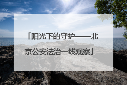 阳光下的守护——北京公安法治一线观察