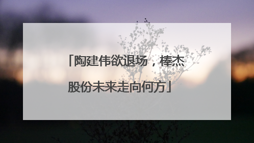 陶建伟欲退场，棒杰股份未来走向何方
