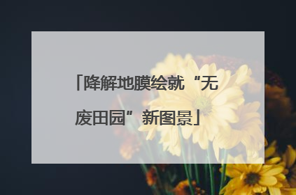 降解地膜绘就“无废田园”新图景