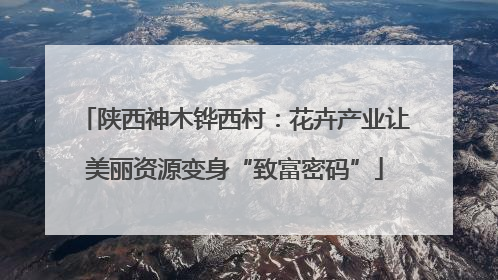 陕西神木铧西村：花卉产业让美丽资源变身“致富密码”