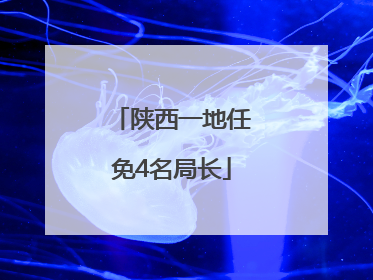 陕西一地任免4名局长