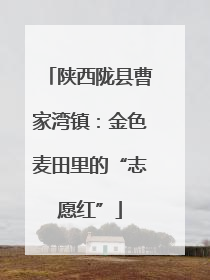 陕西陇县曹家湾镇：金色麦田里的“志愿红”