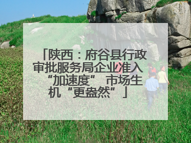 陕西：府谷县行政审批服务局企业准入“加速度” 市场生机“更盎然”