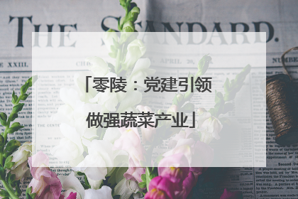 零陵：党建引领 做强蔬菜产业