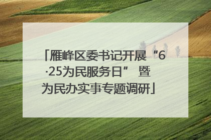 雁峰区委书记开展“6·25为民服务日” 暨为民办实事专题调研