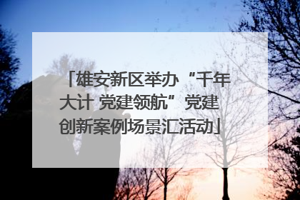 雄安新区举办“千年大计 党建领航”党建创新案例场景汇活动