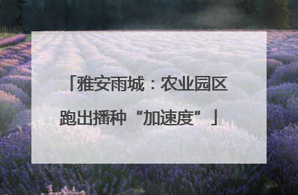 雅安雨城：农业园区跑出播种“加速度”