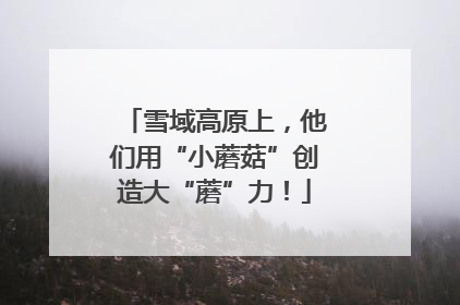 雪域高原上，他们用“小蘑菇”创造大“蘑”力！