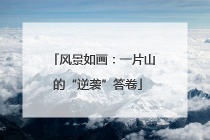 风景如画：一片山的“逆袭”答卷