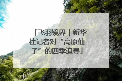 飞羽镜界｜新华社记者对“高原仙子”的四季追寻