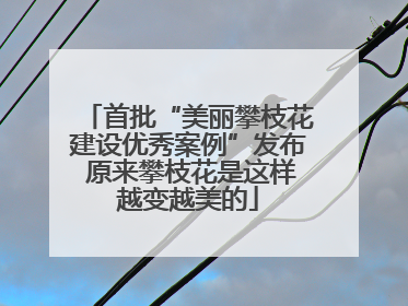 首批“美丽攀枝花建设优秀案例”发布 原来攀枝花是这样越变越美的