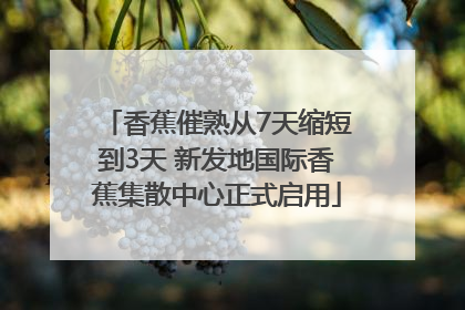 香蕉催熟从7天缩短到3天 新发地国际香蕉集散中心正式启用