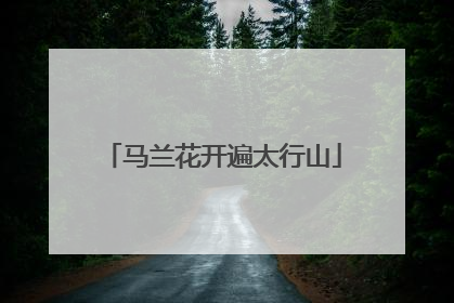 马兰花开遍太行山