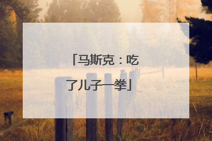 马斯克：吃了儿子一拳