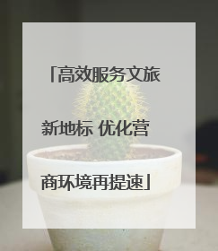 高效服务文旅新地标 优化营商环境再提速