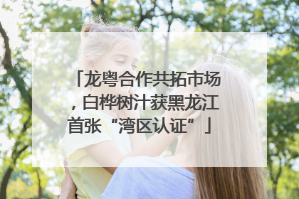 龙粤合作共拓市场，白桦树汁获黑龙江首张“湾区认证”