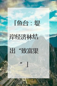 鱼台：堤岸经济林结出“致富果”