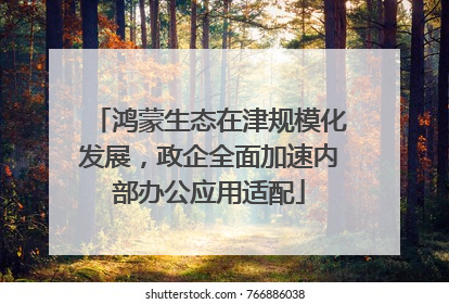 鸿蒙生态在津规模化发展，政企全面加速内部办公应用适配