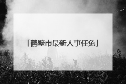 鹤壁市最新人事任免