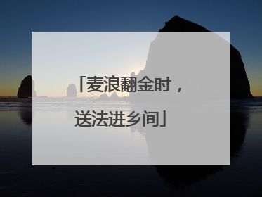 麦浪翻金时，送法进乡间