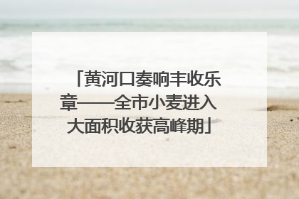 黄河口奏响丰收乐章——全市小麦进入大面积收获高峰期