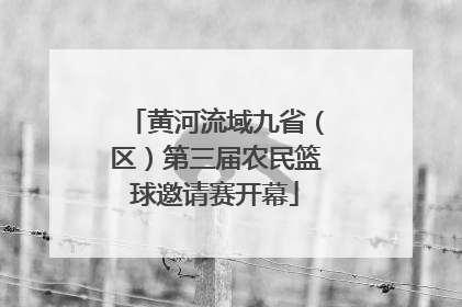 黄河流域九省（区）第三届农民篮球邀请赛开幕