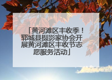 黄河滩区丰收季！郓城县摄影家协会开展黄河滩区丰收节志愿服务活动