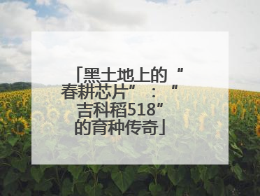 黑土地上的“春耕芯片”：“吉科稻518”的育种传奇