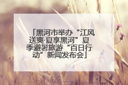 黑河市举办“江风送爽·夏享黑河”夏季避暑旅游“百日行动”新闻发布会