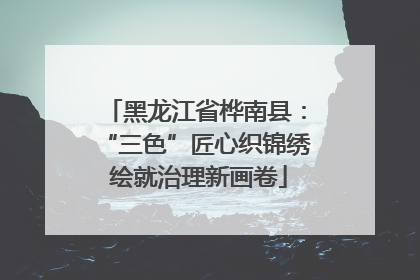 黑龙江省桦南县：“三色”匠心织锦绣 绘就治理新画卷