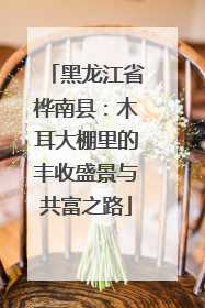 黑龙江省桦南县：木耳大棚里的丰收盛景与共富之路