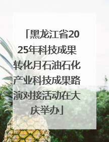 黑龙江省2025年科技成果转化月石油石化产业科技成果路演对接活动在大庆举办