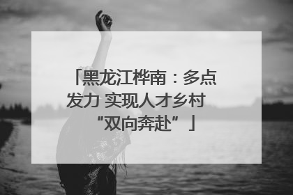 黑龙江桦南：多点发力 实现人才乡村“双向奔赴”
