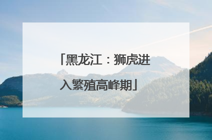 黑龙江：狮虎进入繁殖高峰期