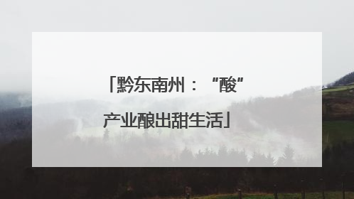 黔东南州：“酸”产业酿出甜生活