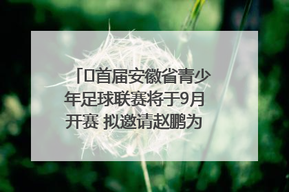 ﻿首届安徽省青少年足球联赛将于9月开赛 拟邀请赵鹏为先导赛开球